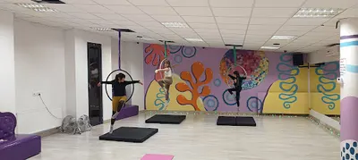 Przytulaśna Szkoła Tańca Tychy - Aerial Hoop, Aerial Joga, taniec użytkowy, tango argentyńskie, nauka tańca, akrobatyka